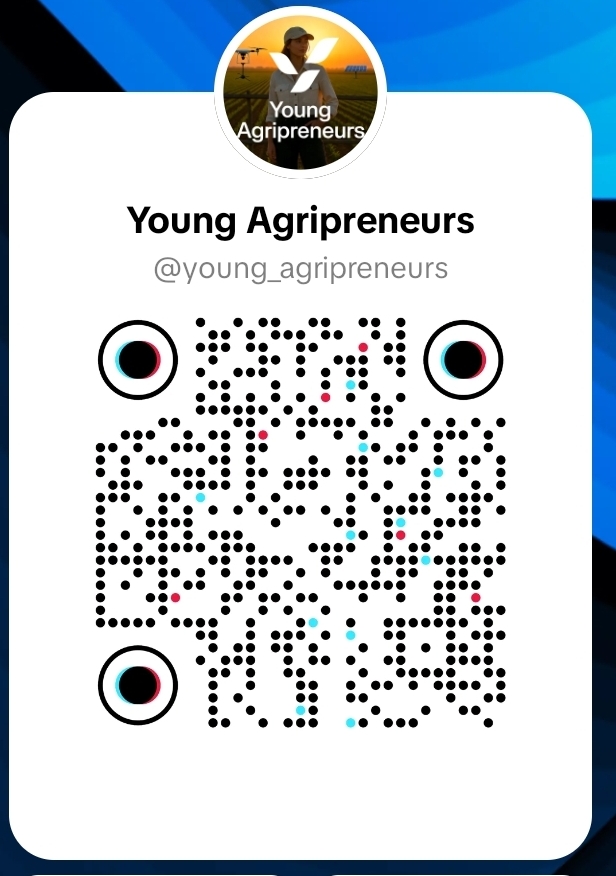 TikTok QR